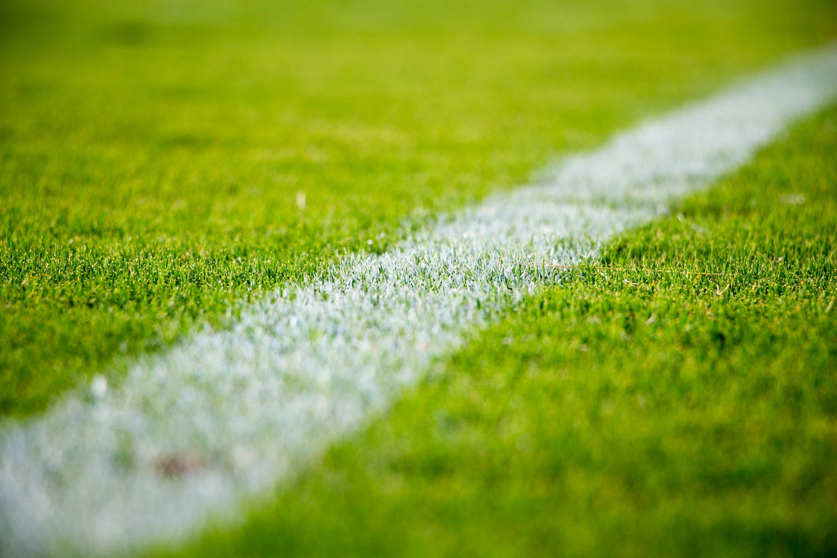 Close-up of a white line on a green grass football pitch