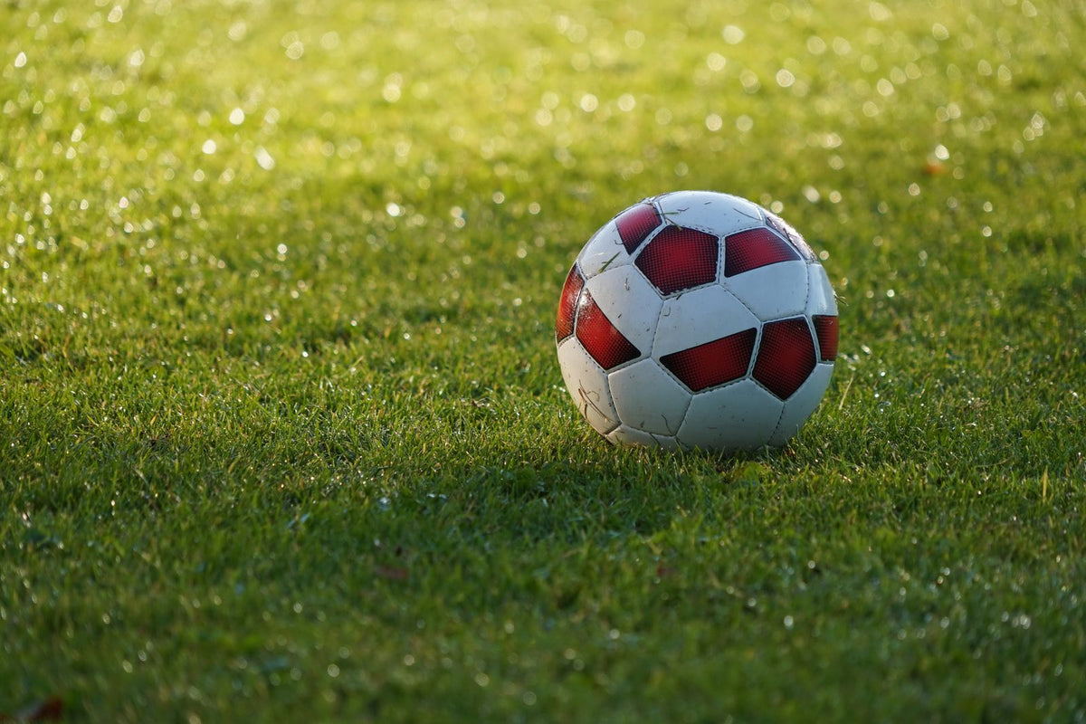 A white football with red panels resting on dewy grass in low sunlight