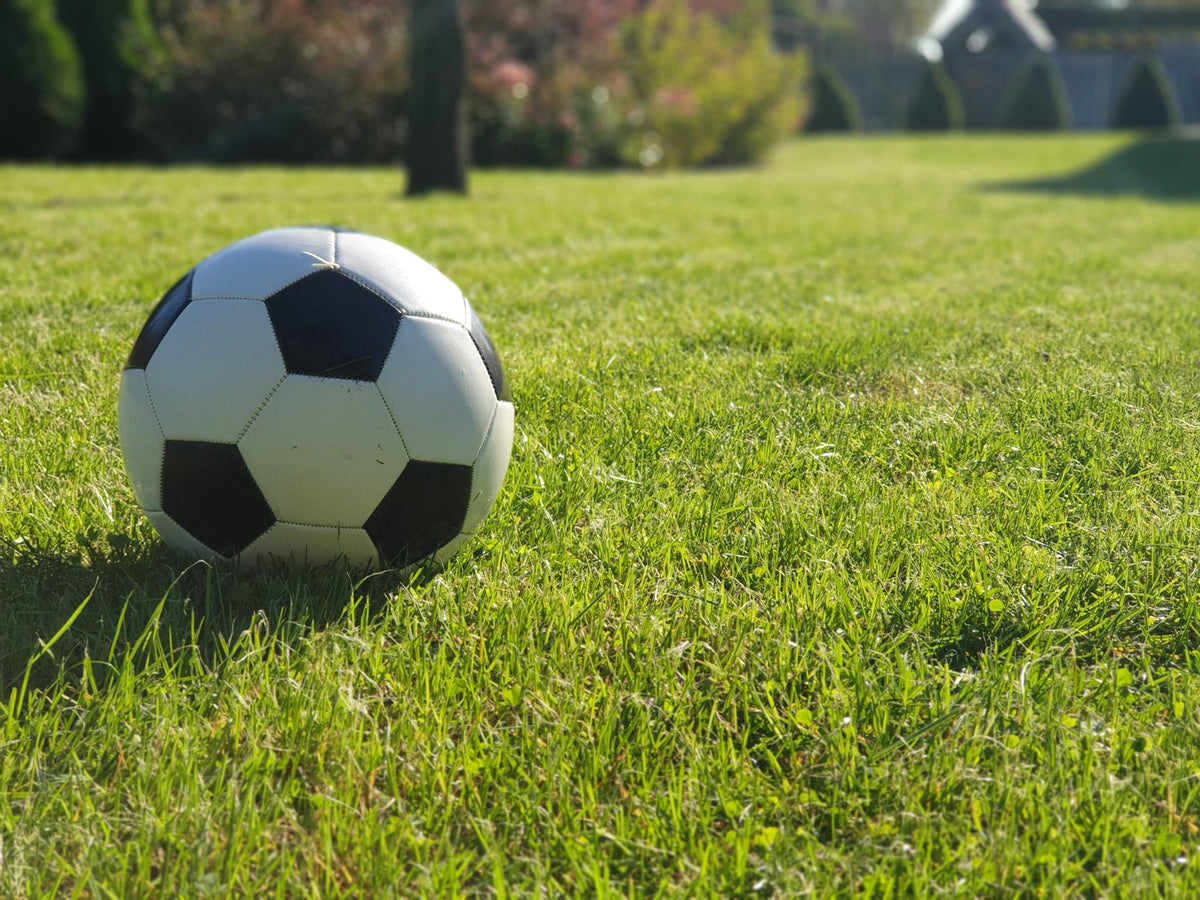 A plain black and white football resting on sunlit grass