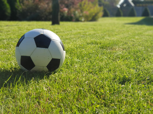 A plain black and white football resting on sunlit grass