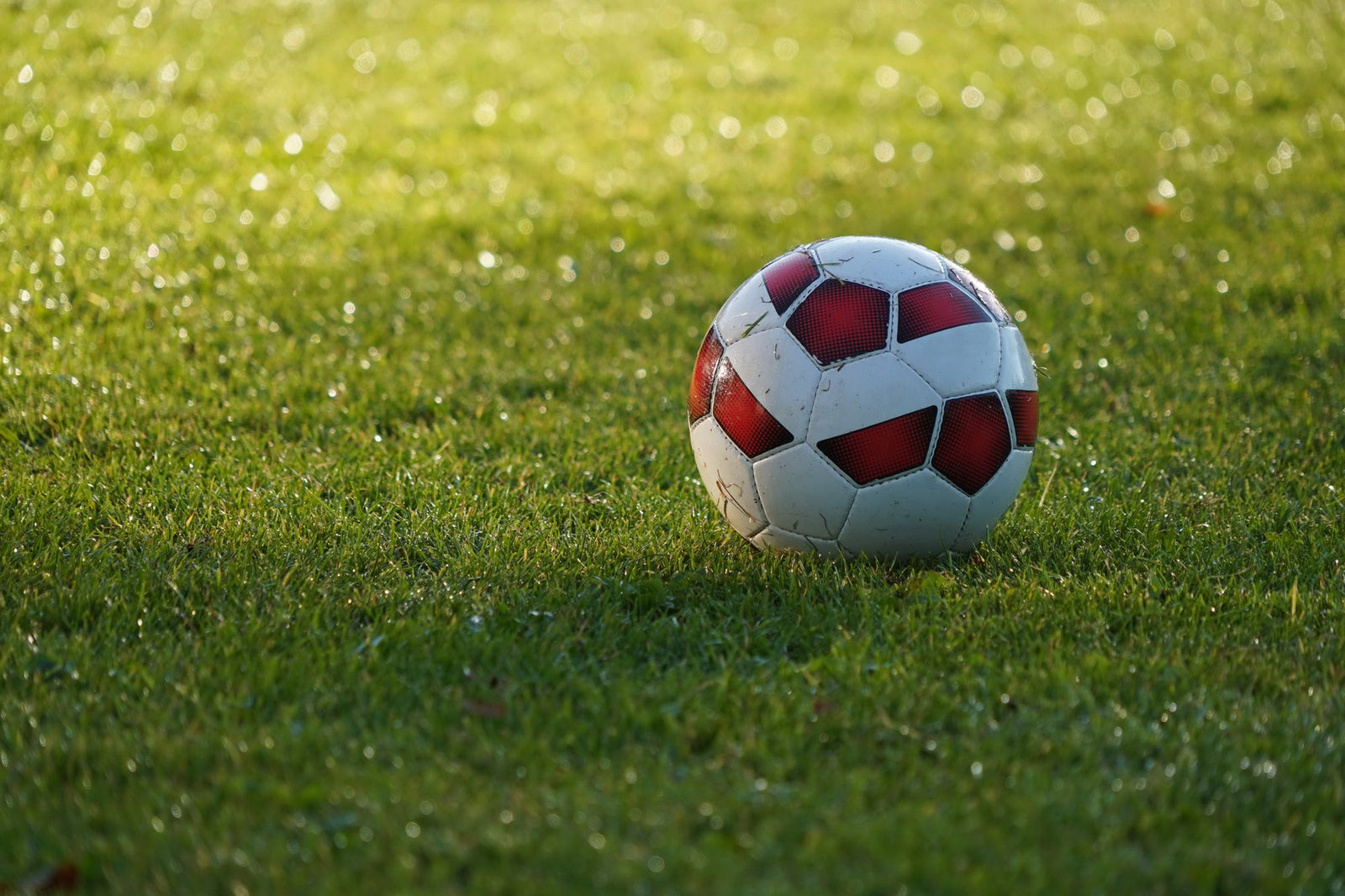 Pro Match Football, size 5